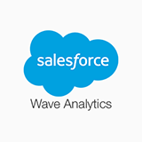 salesforce wave application wizard